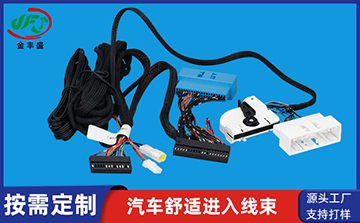 汽車舒適進入電源線束
